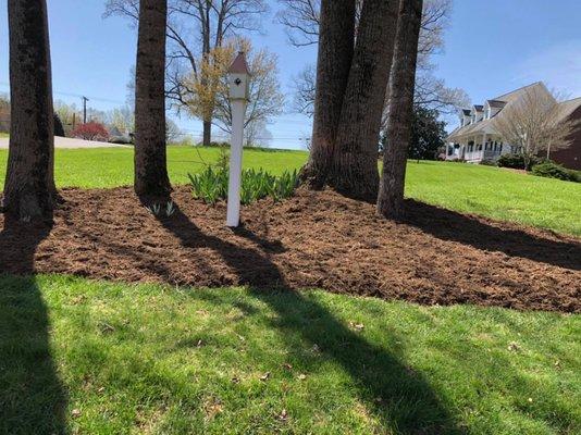 El Perico Tree Service and Lawn Care