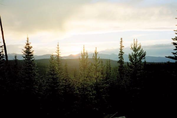 Cache Accounting and Tax Services