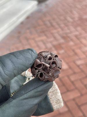 Alexandra & Nicolay Chocolate