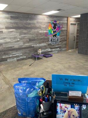 Biscuit learning place and stay.