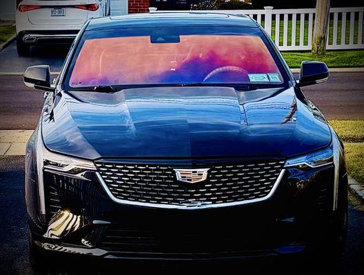 Masters Window Tinting