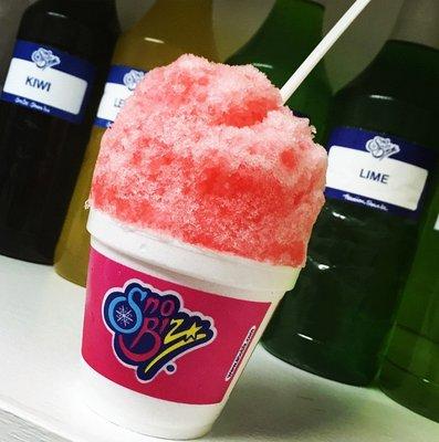 Smoky Mountain Sno Biz