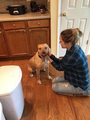 Substitute Sidekicks Pet Services