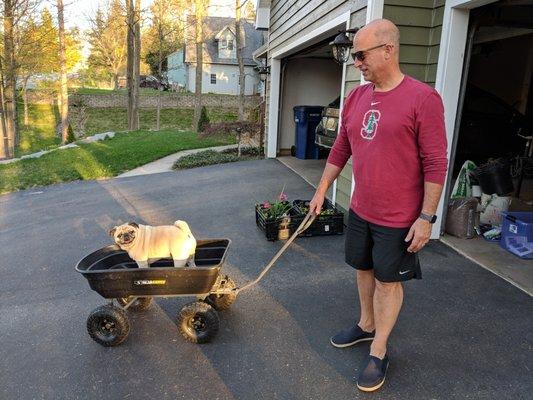 Wild Juniper Nursery