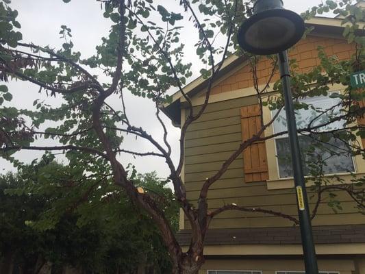 Valley View Landscaping
