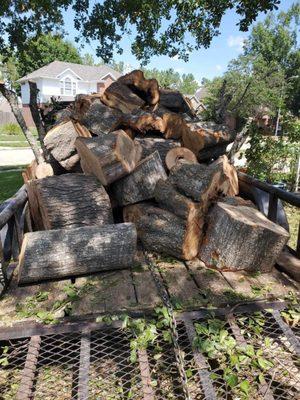 Isael Lawn And Tree Services