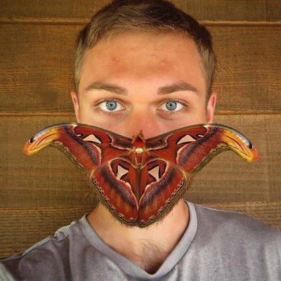 Designed for Discovery