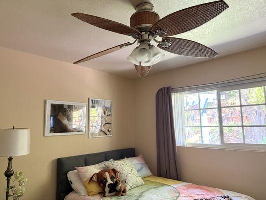 Fix It Fox Property Maintenance