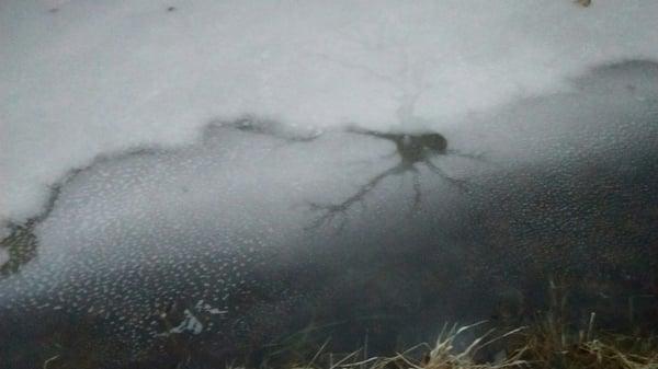 Holy Love Ministries