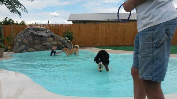 Okanogan Valley Pet Resort