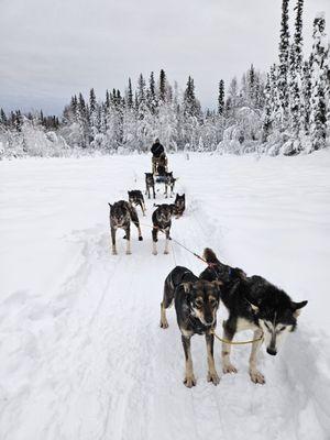 Trail Breaker Kennel