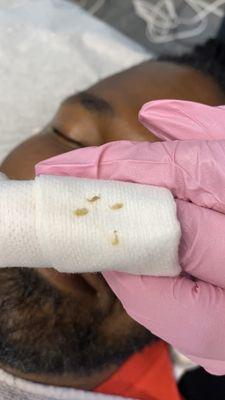 Winter's Diary Esthetics