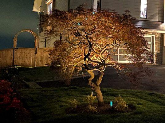 Lighting Design by GP