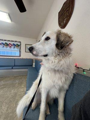 Southwood Valley Animal Hospital