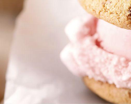 Frozen Bliss Mobile Ice Cream Sundae Bar