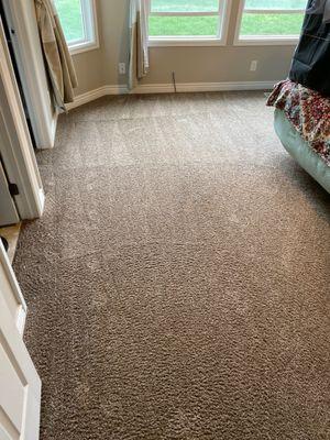 Gem State Carpet & Upholstery Cleaning