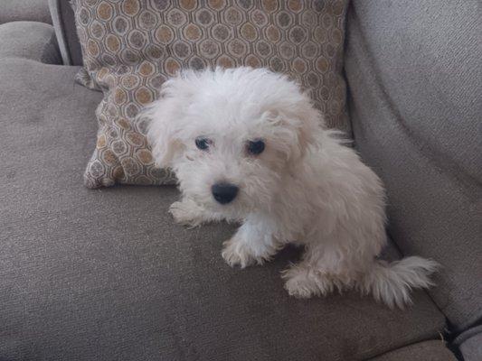 Systems Janitorial Services