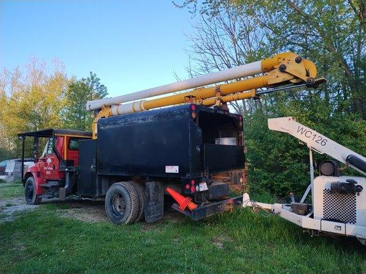 Leyva’s Tree Service