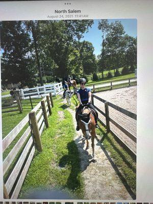 Summit Farm