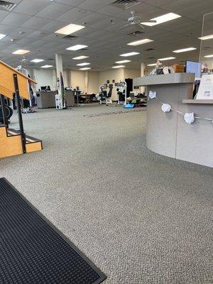 Drayer Physical Therapy Institute