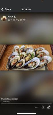 Mussels appetizers