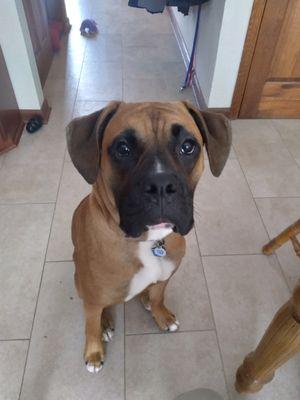 Trustworthy Tax & Accounting