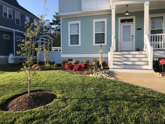 Dreamscape Designers Landscape Company