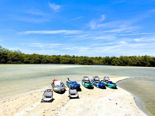 Southwest Florida Shelling
