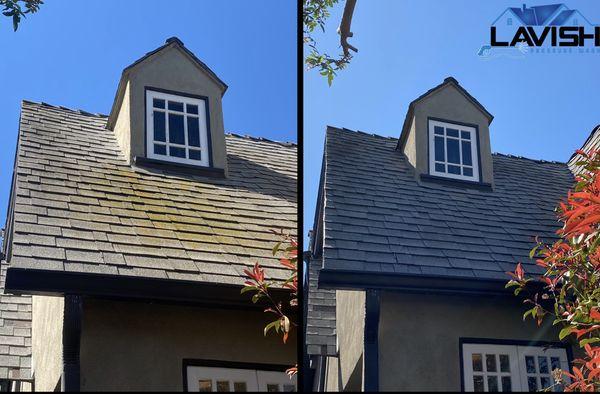 Lavish Pressure Wash