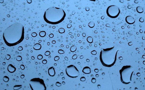 Rainforest Carwash & Oil Change Hardy