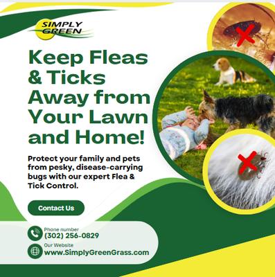 Simply Green Lawn Care