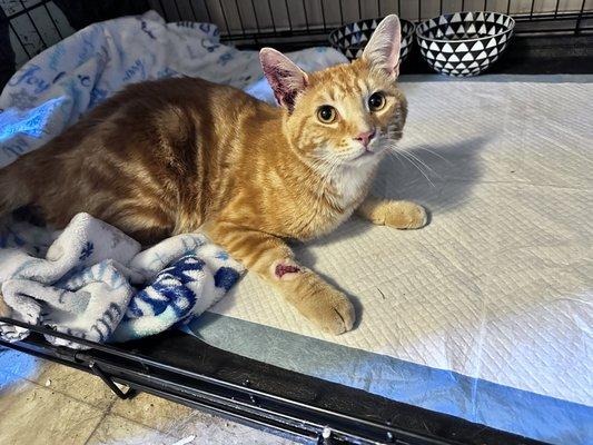 Brewster Veterinary Clinic