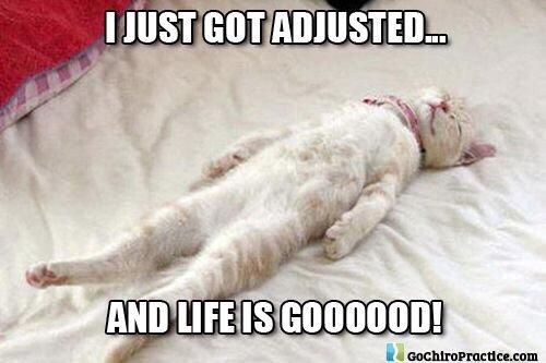 Newport Wellness Center