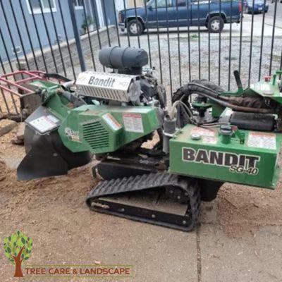 Advanced Tree Care Service