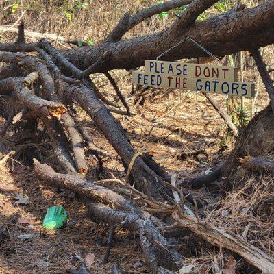 Maurice River Bluffs Preserve