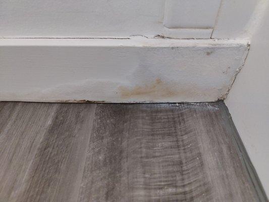 Who knows ??? There ,when moved in !