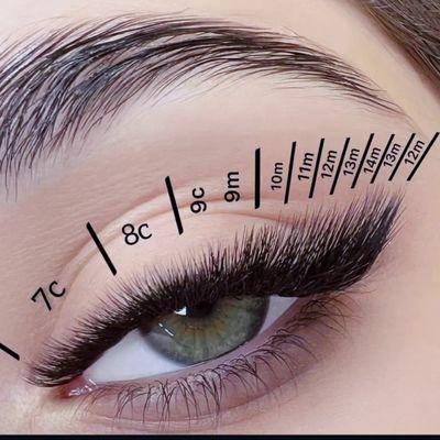 Juliana Lasher Study