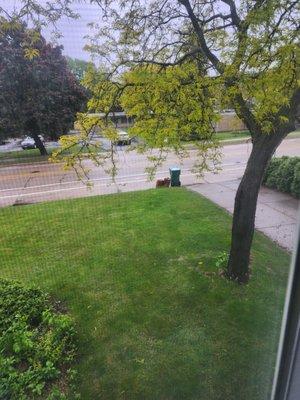 This post is an evidence that today 5/21/2025 @4:24 pm my yard trash isn't picked up. Supposedly it will be picked up by 6:30 pm.