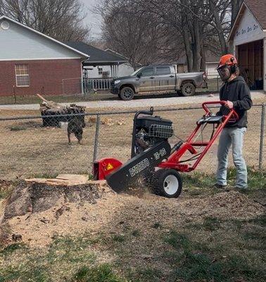 Rise N Grind Stump Removal