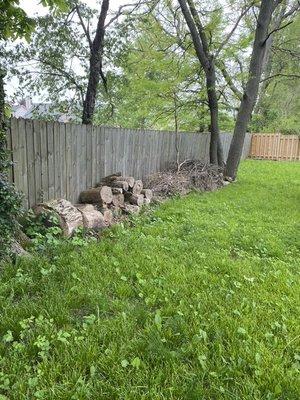 Yard debris removal