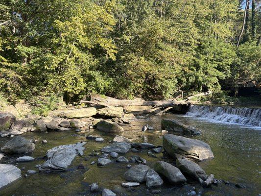 Sunday, 7 September 2025 -- at David Fortier River Park