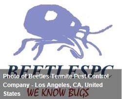 Beetles-Termites, Pest Control Co.