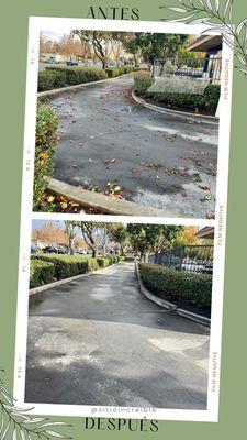 AAC Gardening Services