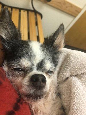 Fairfield Animal Hospital