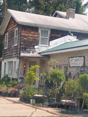 Art Samples Trees and shrubs