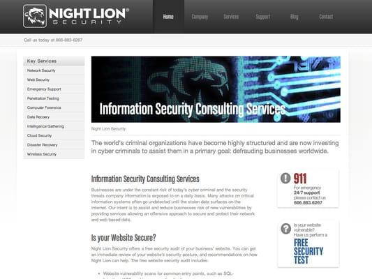Night Lion Security