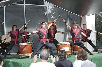 Cherry Blossom Festival