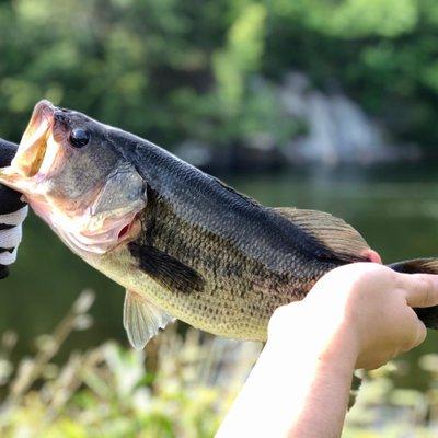 Riverbend Campground