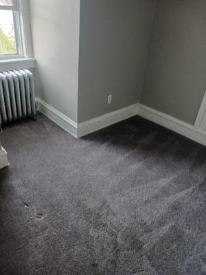At your Feet Carpet in-House Cleaning