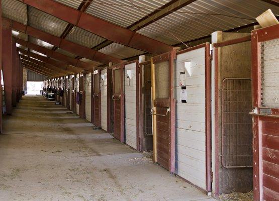 Beare Equestrian Services & Training